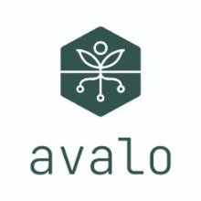 https://global-engage-staging.cda-development3.co.uk/wp-content/uploads/2023/09/avalo logo.jpg